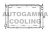 AUTOGAMMA 105263 Radiator, engine cooling